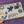 Load image into Gallery viewer, 611fc05e3c4ce80992caae23_tani-2_1785367157538.png
