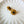 Load image into Gallery viewer, 611fc05e3c4ce80992caae23_tempimageb3naws_1778615841898.jpg
