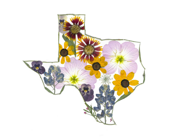 611fc05e3c4ce80992caae23_texas_1790028672292.jpg
