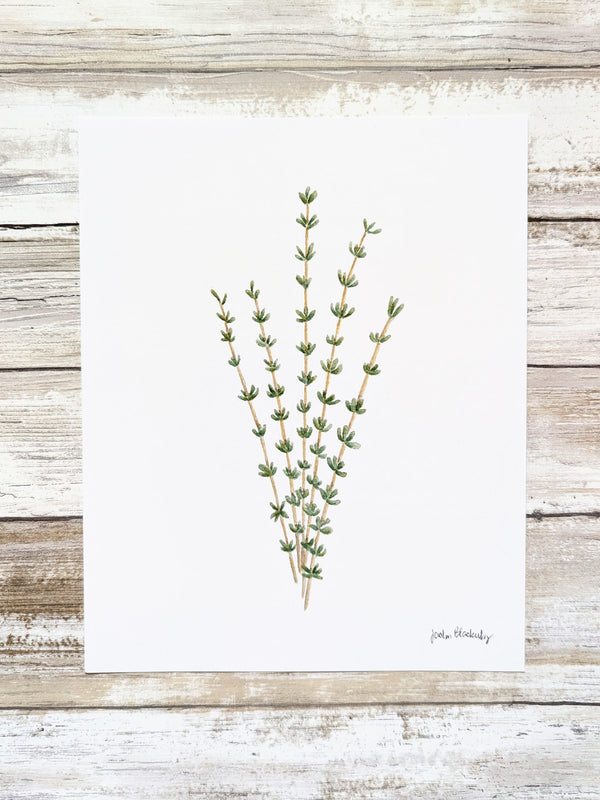 611fc05e3c4ce80992caae23_thyme-print_1774991435408.jpg