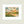 Load image into Gallery viewer, 611fc05e3c4ce80992caae23_web-listing-longhorn-colorstorm-5x7-in-8x10-mat-2000.png_1791489114739.jpg
