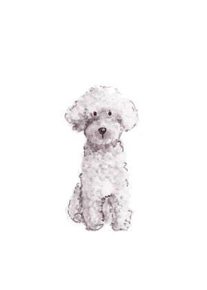 611fc05e3c4ce80992caae23_white-mini-poodle-5x7_1754085647283.jpg