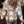 Load image into Gallery viewer, Star Pattern Textured Sweater Cardigan with Pockets
