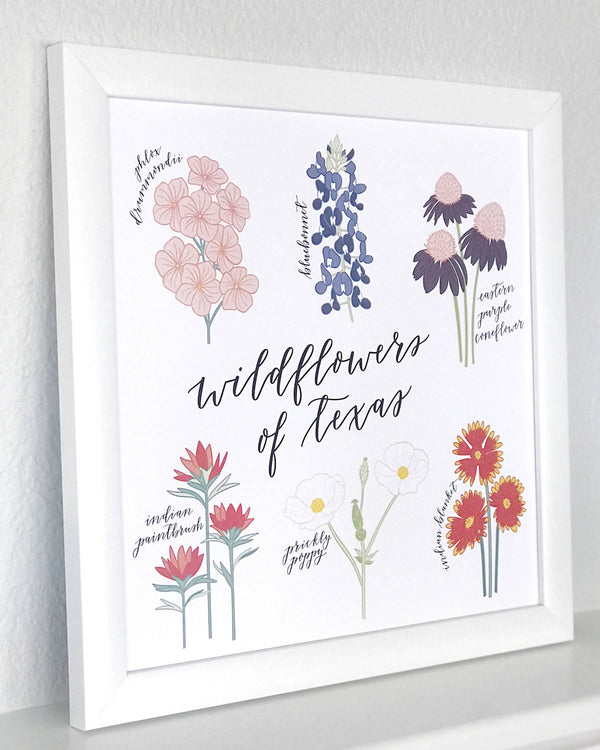 Wildflowers of Texas Hand Illustrated Wall Art Print