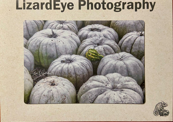 White Pumpkins Photography Print - 1