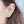Load image into Gallery viewer, Pterodactyl Enamel Stud Earrings - 4
