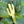 Load image into Gallery viewer, Cactus Brass Bookmark - 2
