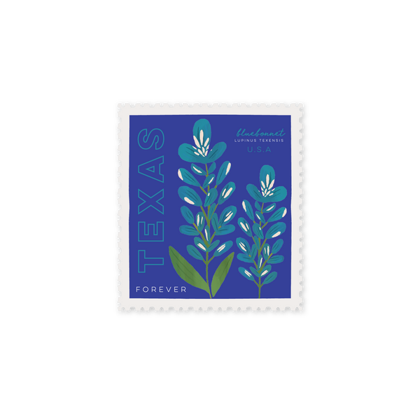 Bluebonnet Stamp Magnet - 1