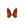 Load image into Gallery viewer, Monarch Butterfly Wing Earrings
